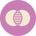 Pictogramme deux cercles qui fusionnent violet